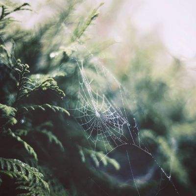 188BET官网中国官方网站